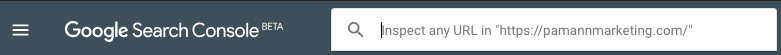 URL Inspection