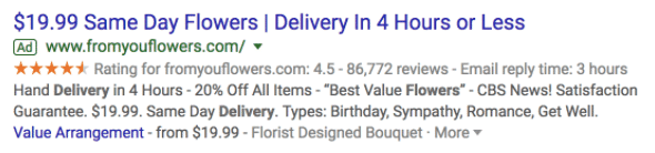 Including offer extensions is an important part of successfully using Google Ads.